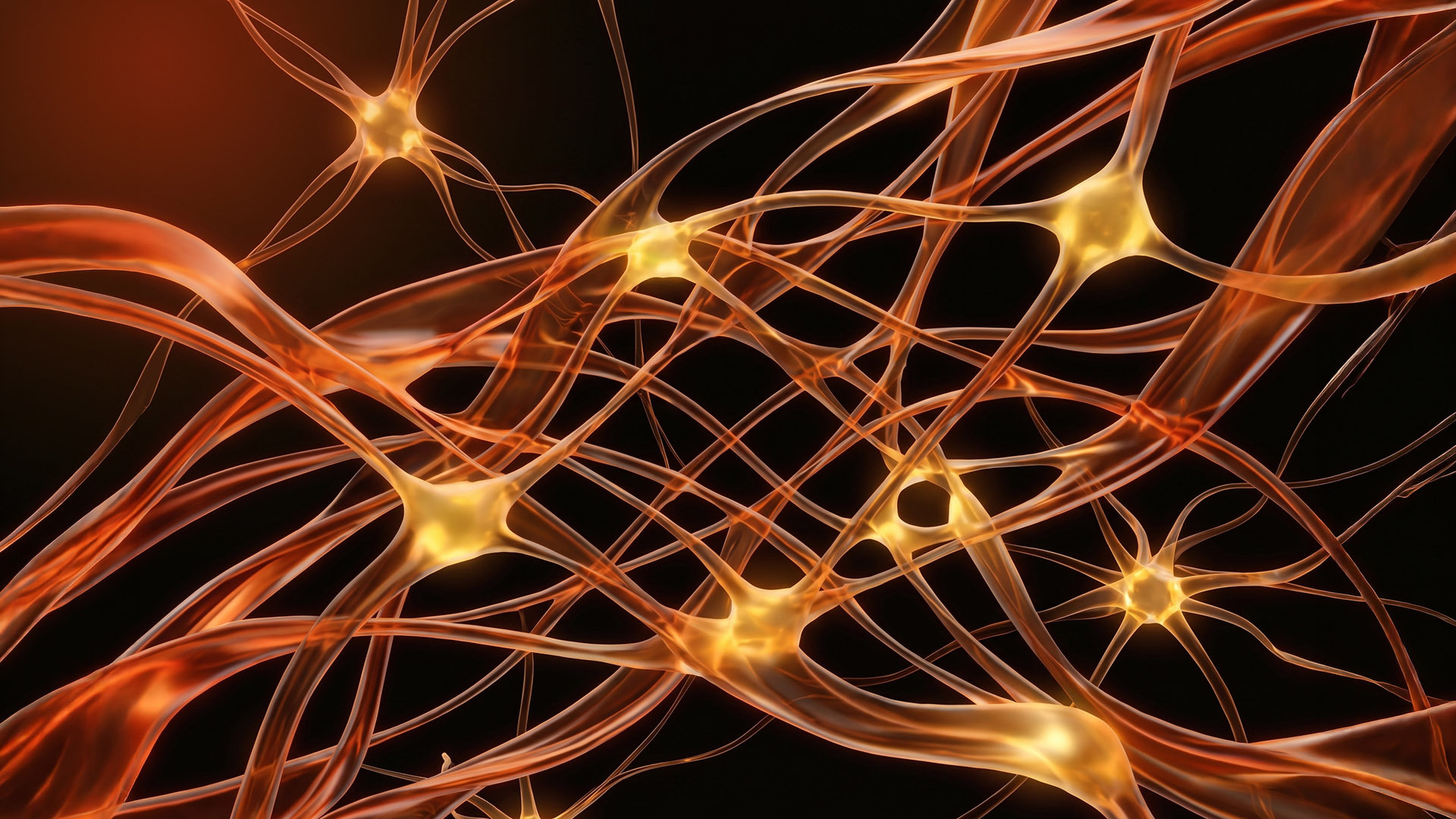 Image about Corporate Intelligence